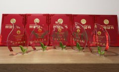 “欧宝杯”浙江省节地生态安葬设计作品奖