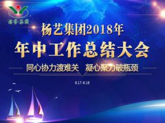 欧宝集团2018年中总结报告（摘要）