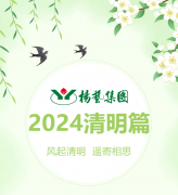 风起清明 遥寄相思|欧宝集团?2024清明篇