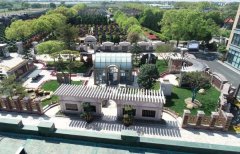 方寸之间，艺术与自然共舞