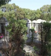 绿色生态葬：文明赓续的绿色选择